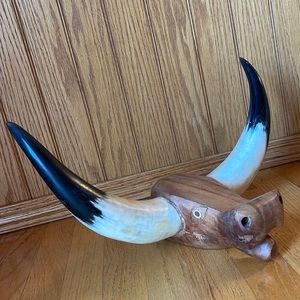 Weird Bull horns